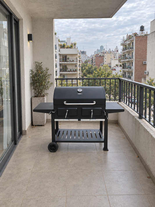 Parrilla Portatil A Carbon Ahumador Delhi Ruedas Termometro Color Negro